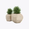 product-image-7_optimized Piluso Zoe G.