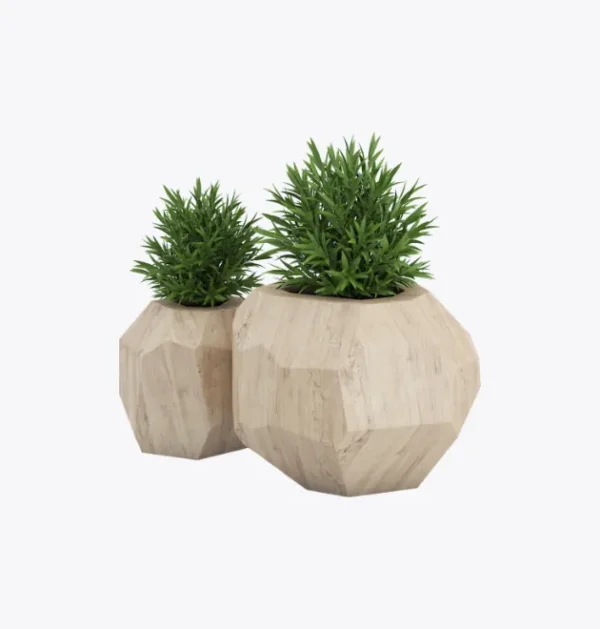 product-image-7_optimized Piluso Zoe G.