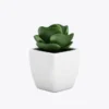 product-image-9_optimized Medias Lunares