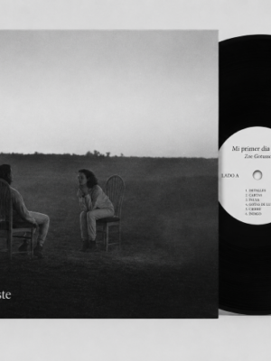 Vinilo MPDT MPDT vinilo